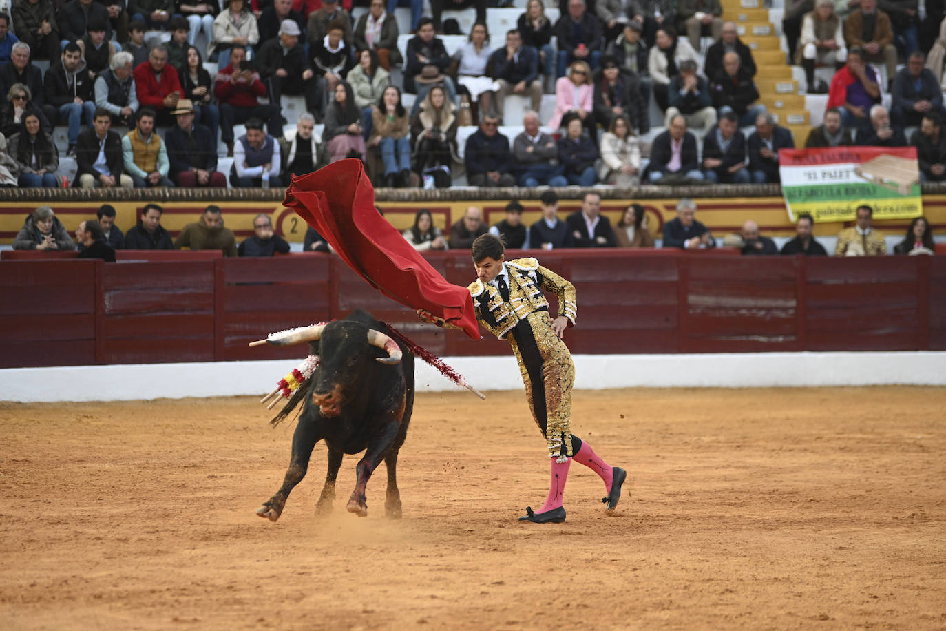 Fotos: Triple triunfo en Olivenza