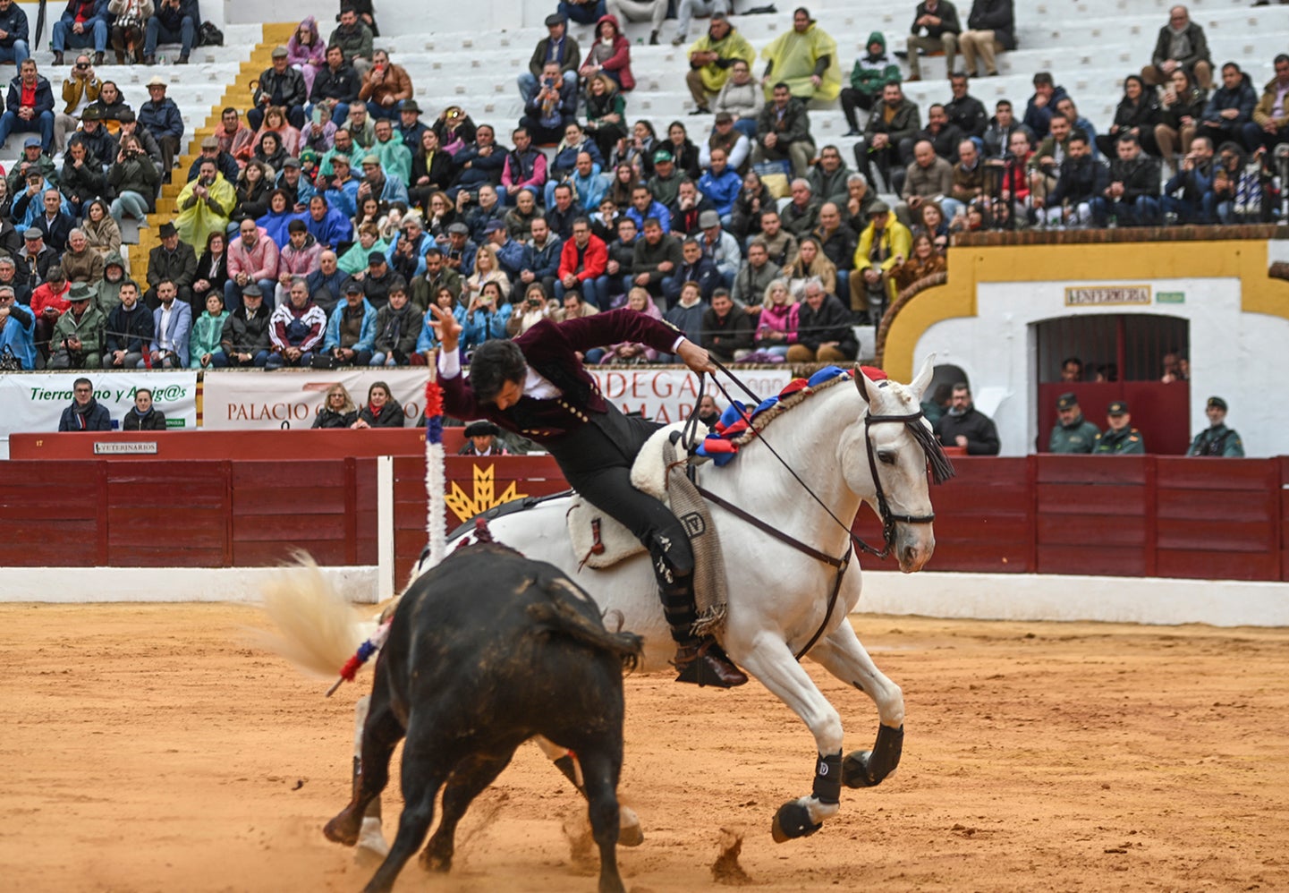 Fotos: Triunfo de Ventura, con Ferrera y Valdez con un trofeo cada uno