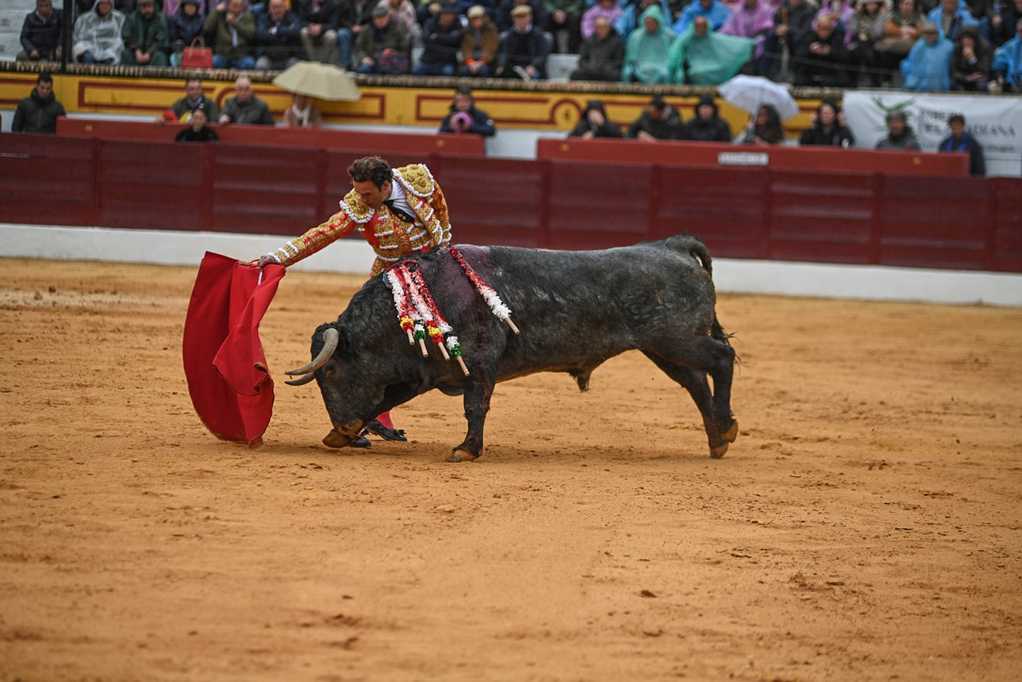 Fotos: Triunfo de Ventura, con Ferrera y Valdez con un trofeo cada uno