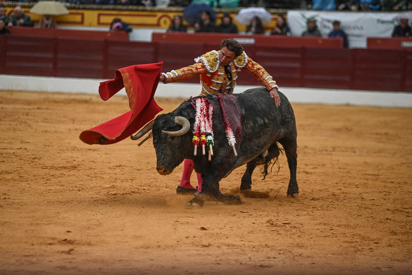 Fotos: Triunfo de Ventura, con Ferrera y Valdez con un trofeo cada uno