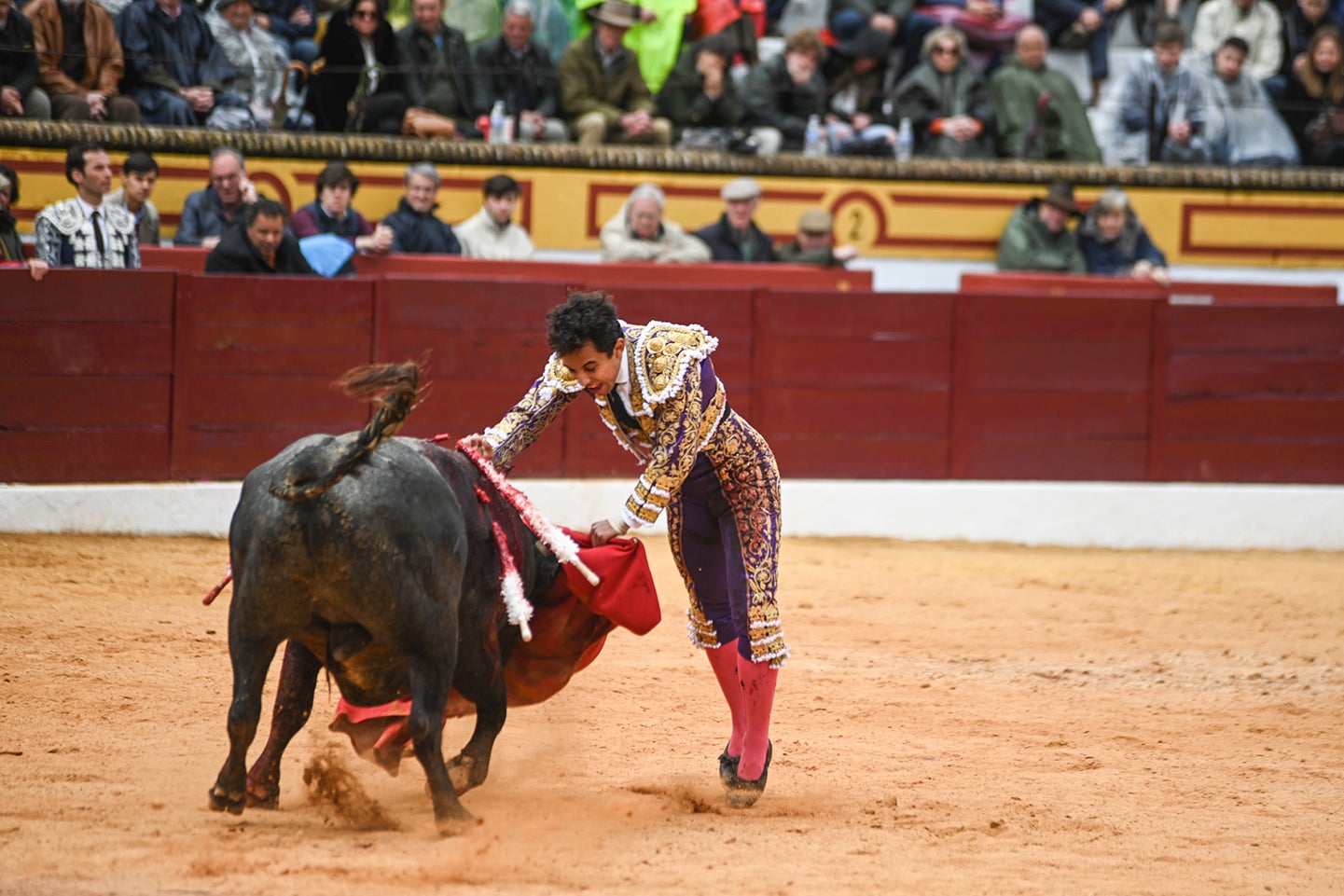 Fotos: Triunfo de Ventura, con Ferrera y Valdez con un trofeo cada uno