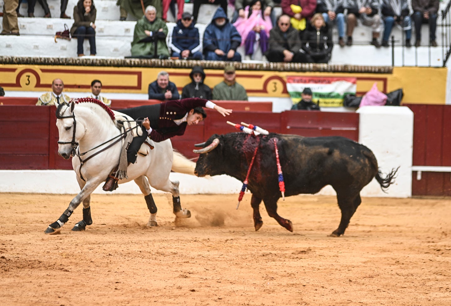 Fotos: Triunfo de Ventura, con Ferrera y Valdez con un trofeo cada uno