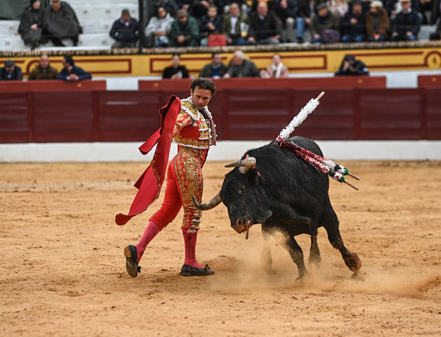 Fotos: Triunfo de Ventura, con Ferrera y Valdez con un trofeo cada uno