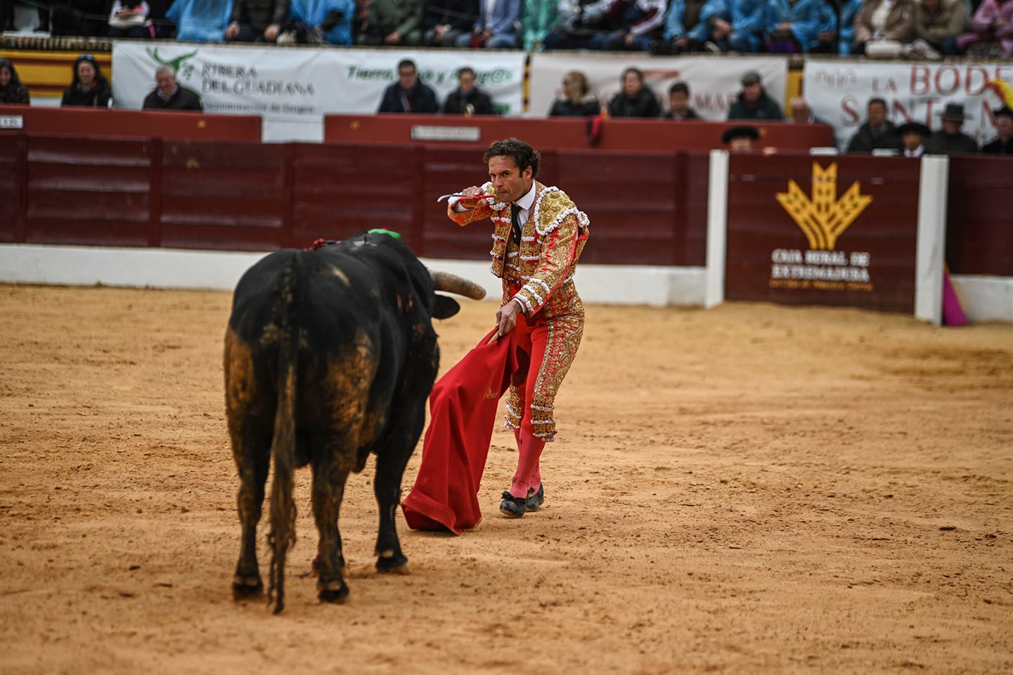 Fotos: Triunfo de Ventura, con Ferrera y Valdez con un trofeo cada uno