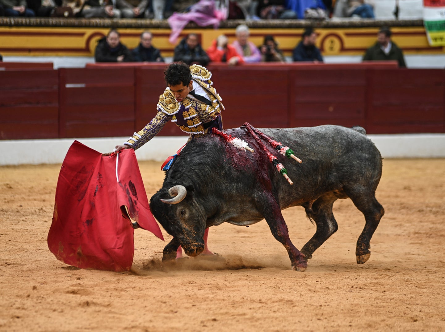 Fotos: Triunfo de Ventura, con Ferrera y Valdez con un trofeo cada uno