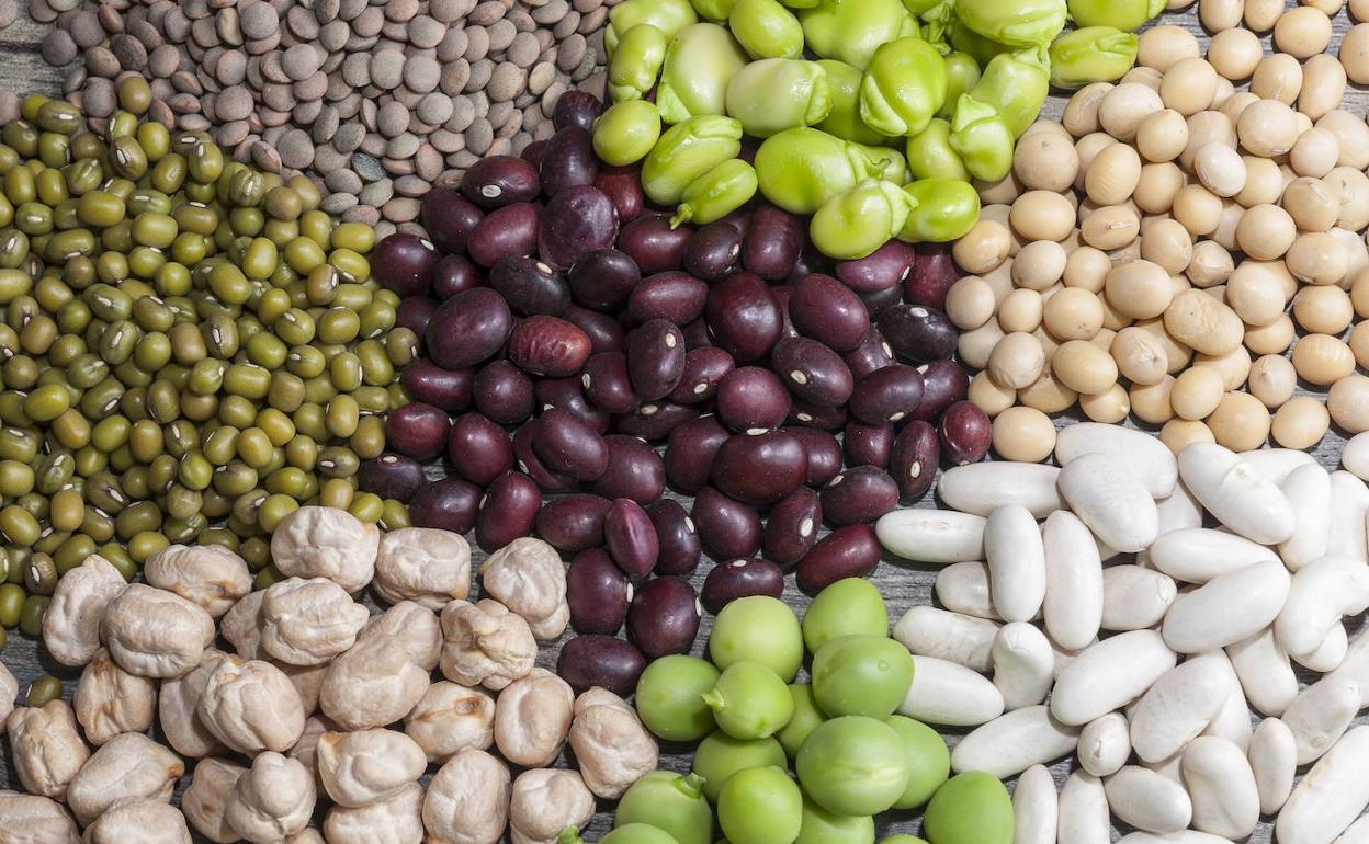 Europa potencia las legumbres