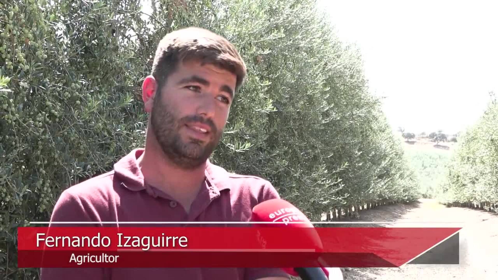 El precio del aceite de oliva español alcanza un 27% más que en Portugal