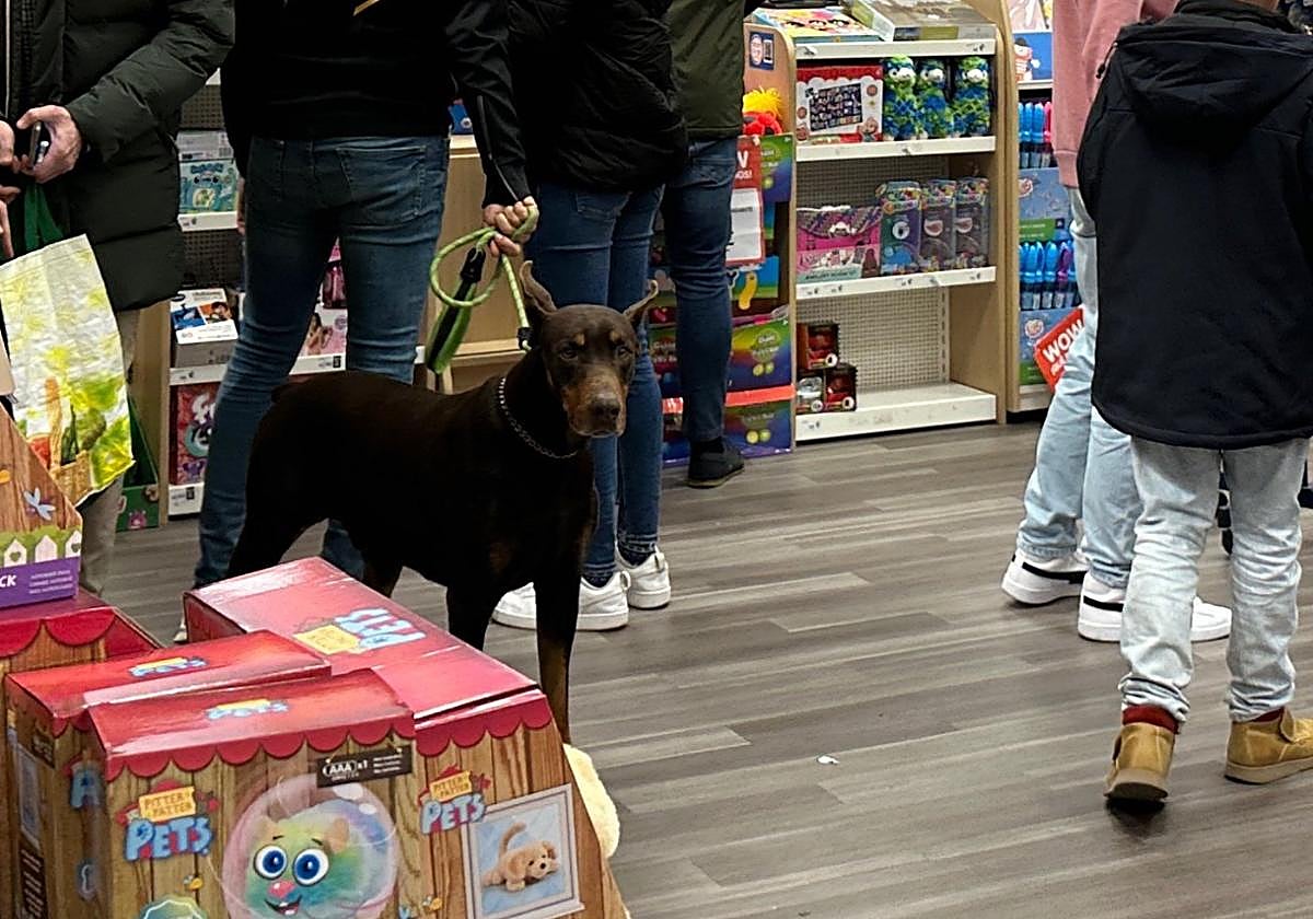 Dóberman sin bozal el pasado sábado en la juguetería del centro comercial Ruta de la Plata.