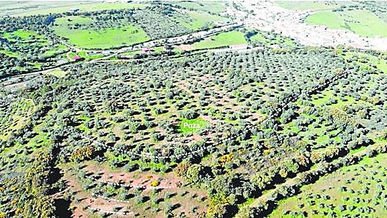 Localizan un enclave militar romano en el municipio cacereño de Talaván