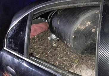 Agricultores cifran en 1,5 millones de euros las pérdidas por robo de aceitunas