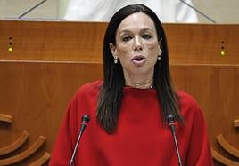 La consejera de Salud de la Junta, Sara García Espada, durante el pleno celebrado este jueves en la Asamblea.