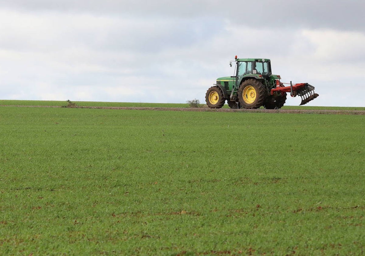 Casi la mitad de las dotaciones naturales de la región con tierras de cultivo y pastos.