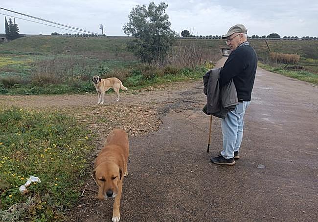 Pedro Parada con los perros que le interceptan en su caminata.