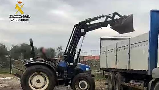 Investigado por retirar el precinto de una carga de aceituna inmovilizada por la Guardia Civil