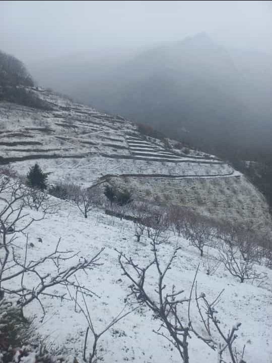 La borrasca Juan se despidió de Extremadura dejando nieve a última hora de la tarde en el Puerto de Tornavacas.