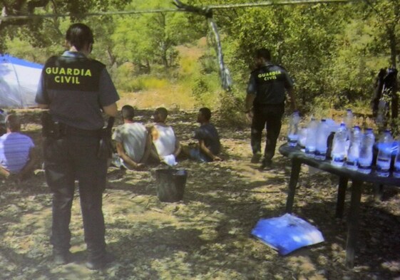 Imagen difundida por la Guardia Civil tras descubrir la plantación de Alcuéscar.