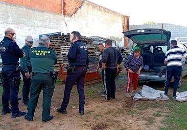 Sorprendido en Aceuchal con 300 kilos de aceitunas sin acreditar su procedencia