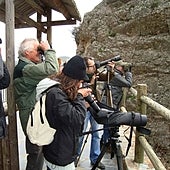 Así debería ser Monfragüe en el año 2034