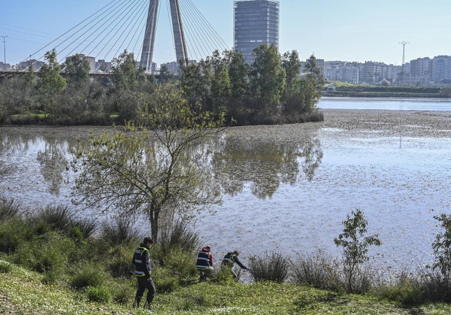 La Policía Científica regresó este jueves al lugar donde se produjo el hallazgo.