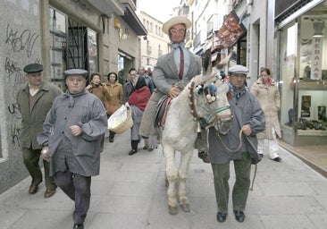 El burro volverá a salir en la fiesta de las Lavanderas de Cáceres, pero no podrá cargar al pelele