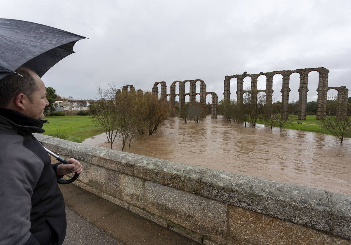 Un hombre contempla cómo baja el arroyo Albarregas en enero pasado en un día de lluvia.