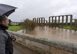 Un hombre contempla cómo baja el arroyo Albarregas en enero pasado en un día de lluvia.
