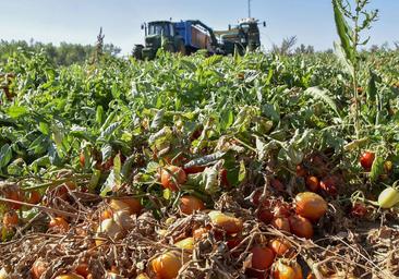 Más de 17 millones para el campo extremeño para compensar los daños de la sequía y la guerra de Ucrania