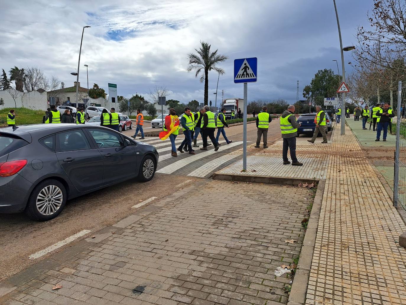 Manifestantes en la zona de la Consejería de Agricultura, en Mérida, donde se han sentado en el paso de peatones de la carretera llegando a cortar el tráfico 