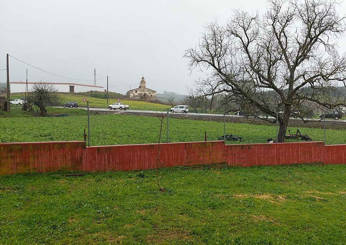 Imagen secundaria 1 - Agricultores y ganaderos circulan por la N435