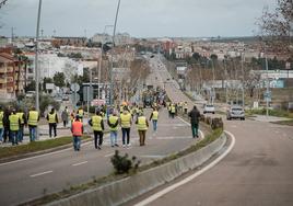 Fotos | La protesta de agricultores y ganaderos extremeños en Mérida