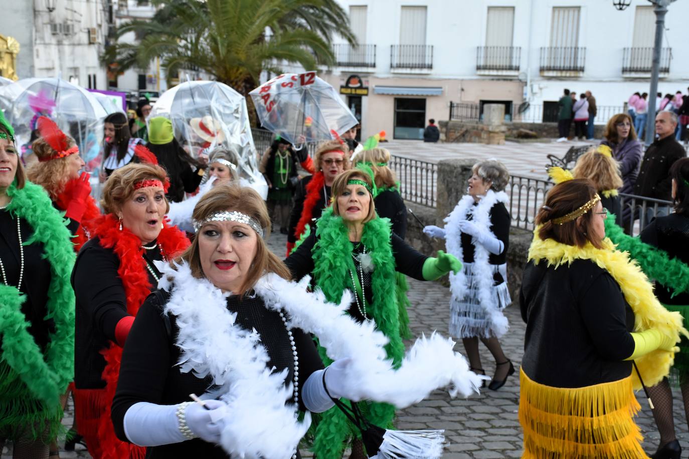 Desfile de comparsas del Carnaval del Buche. Alburquerque 2024