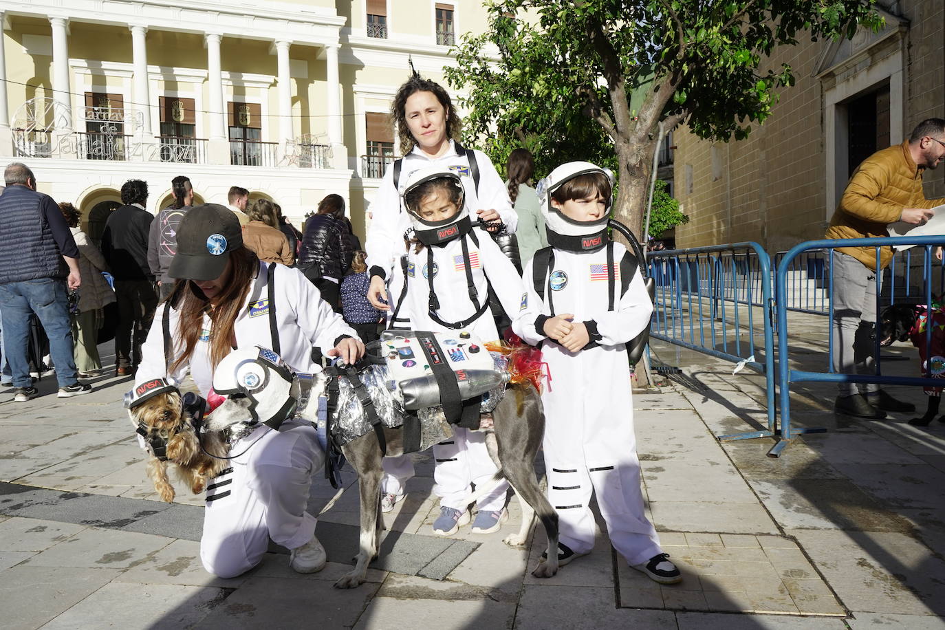 Las mejores imágenes del concurso de disfraces de mascotas del Carnaval de Badajoz