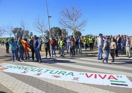 Agricultores frente a la Consejería de Agricultura en Mérida. En el suelo, colocan una pancarta, con los logos de las organizaciones agrarias tachados.