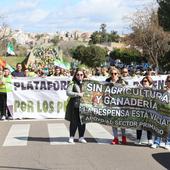 Galería de imágenes: El campo vuelve a salir a la calle para retomar las protestas