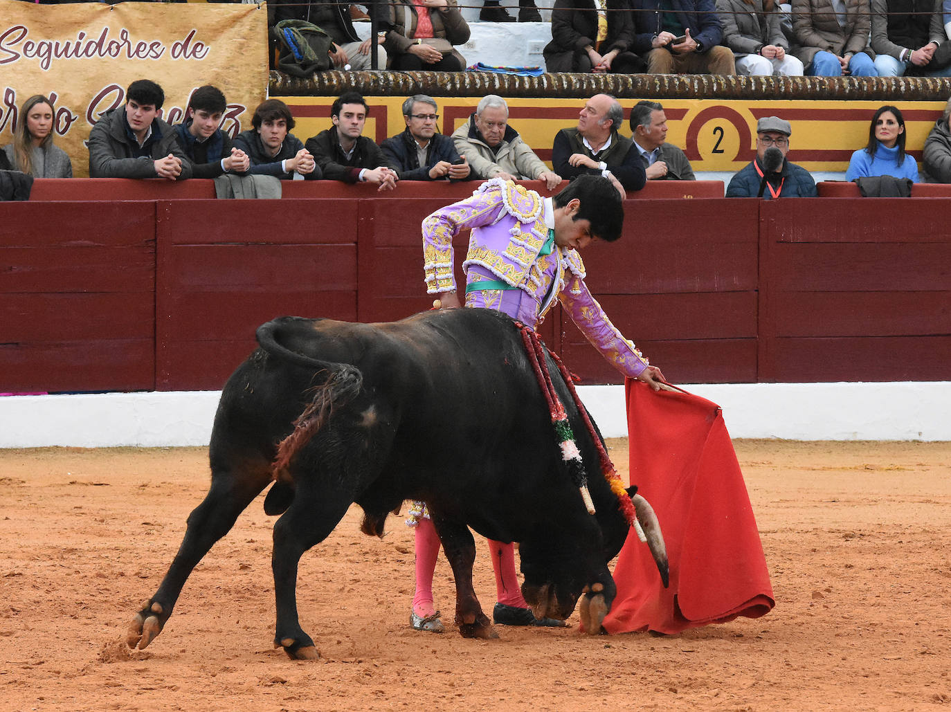 La novillada del viernes en la Feria de Olivenza 2024, en imágenes