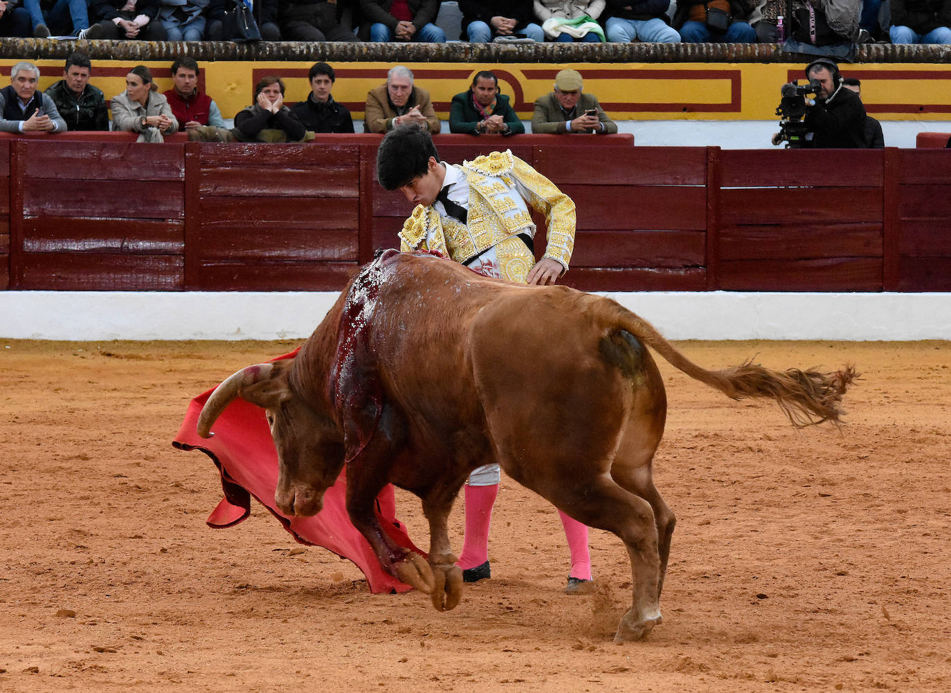 La novillada del viernes en la Feria de Olivenza 2024, en imágenes