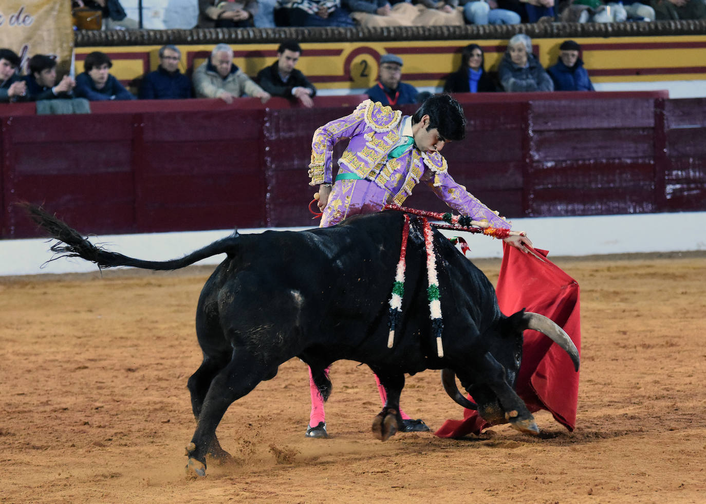 La novillada del viernes en la Feria de Olivenza 2024, en imágenes