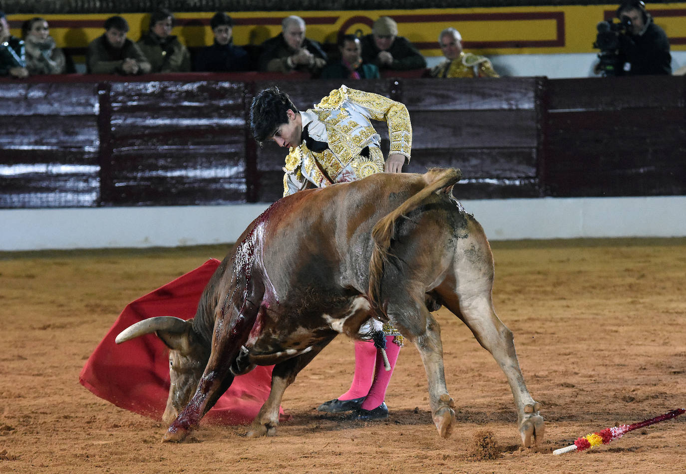 La novillada del viernes en la Feria de Olivenza 2024, en imágenes