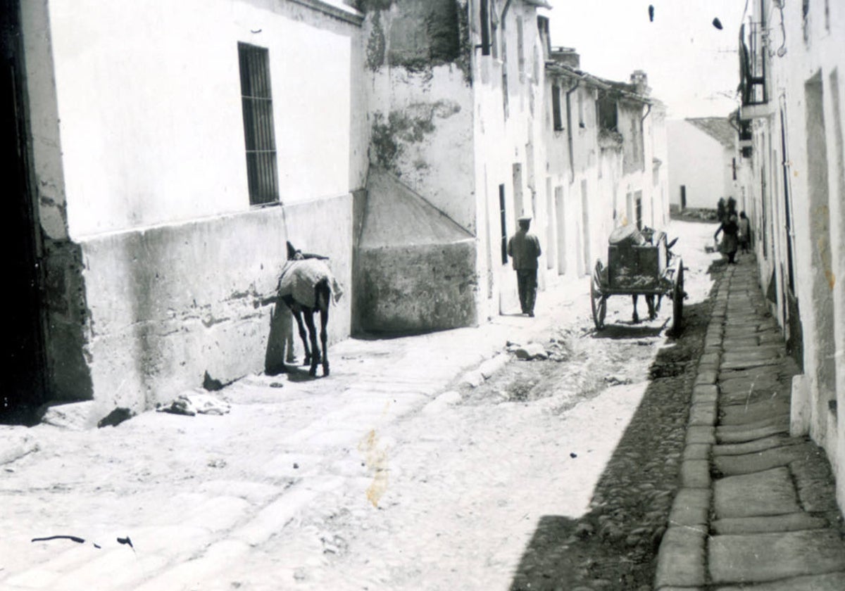 Calle Concepción Arenal, cerca de donde fue el asesinato.