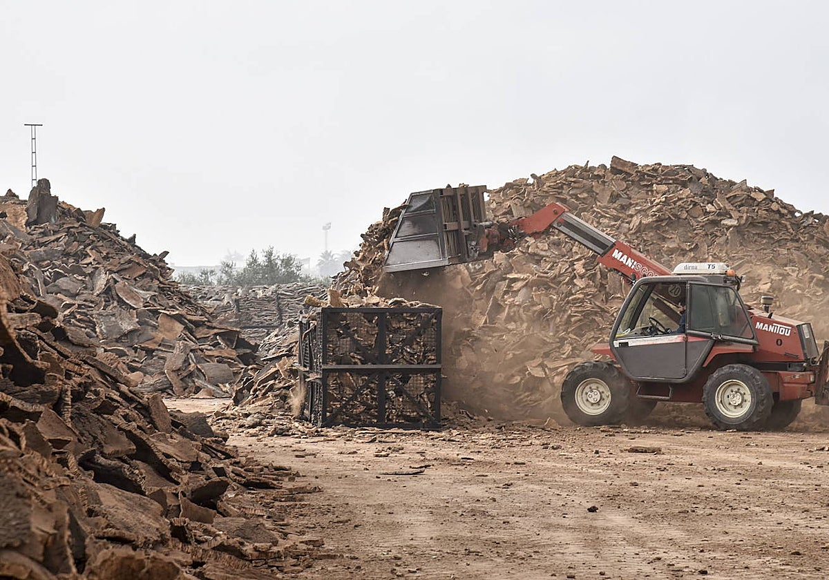 Diam Corchos, empresa para la que se aprobó el pasado año una ayuda de 8 millones de euros para inversiones.