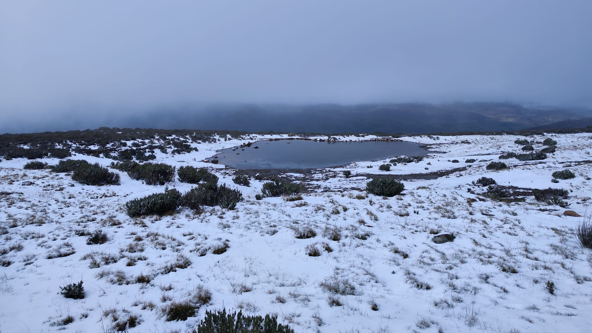 La nieve se ha acumulado en Piornal, unos 5 centímetros, y en los alrededores el espesor podría llegar a los 10 centímetros.