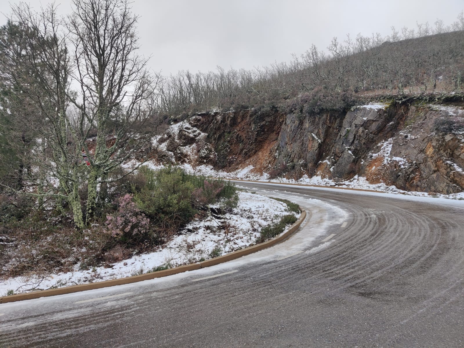 La carretera CC-437, por la que se accede al Pico Villuercas, ha sido cortada por la nieve.