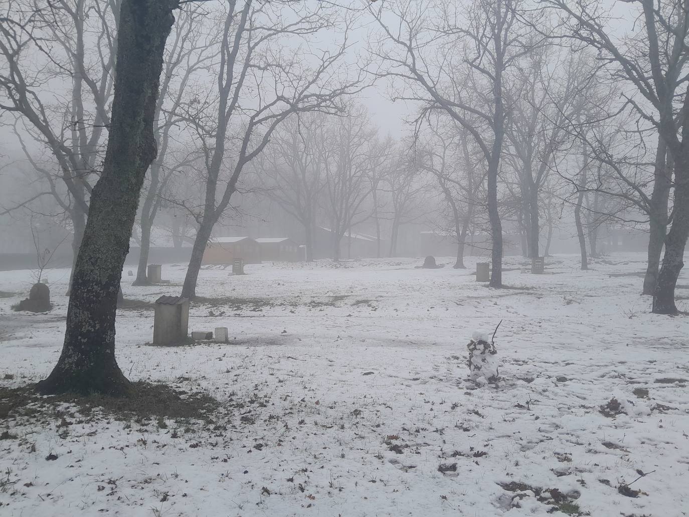 Fotos | Los extremeños aprovechan el domingo para disfrutar de la nieve