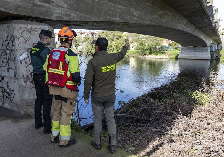 Operativos de Bomberos, Brigada Verde y Guardia Civil miran en el puente de Adolfo Suárez.