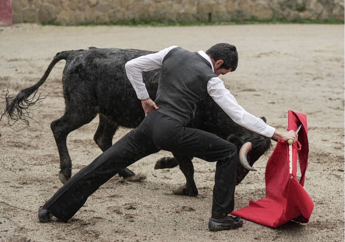 Emilio de Justo se dobla con una vaca de Victorino Martín en las Tiesas de Santa María