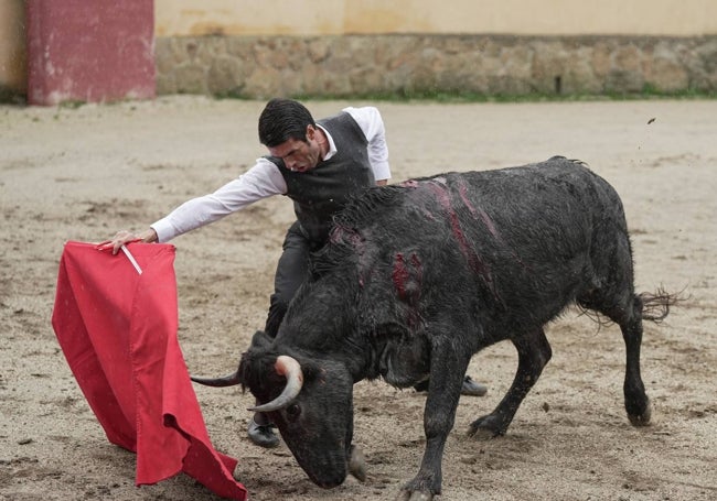 De Justo se prueba con un ejemplar de Victorino Martín