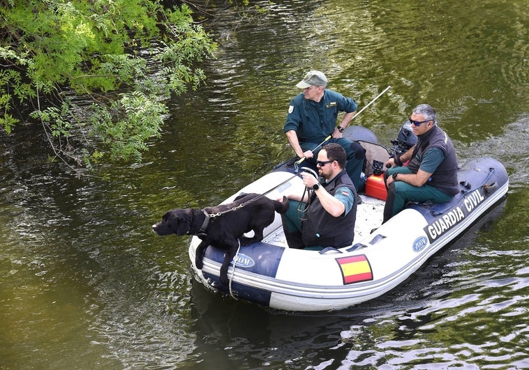 El perro especializado en rastreo subacuático olfatea los márgenes del río Jerte.