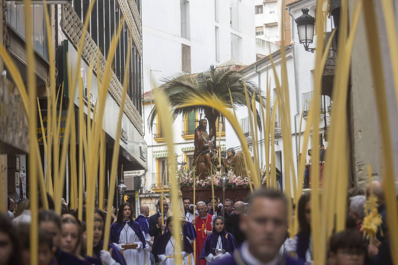 Domingo de Ramos | Miles de cacereños acompañan a la Burrina en Cáceres (II)