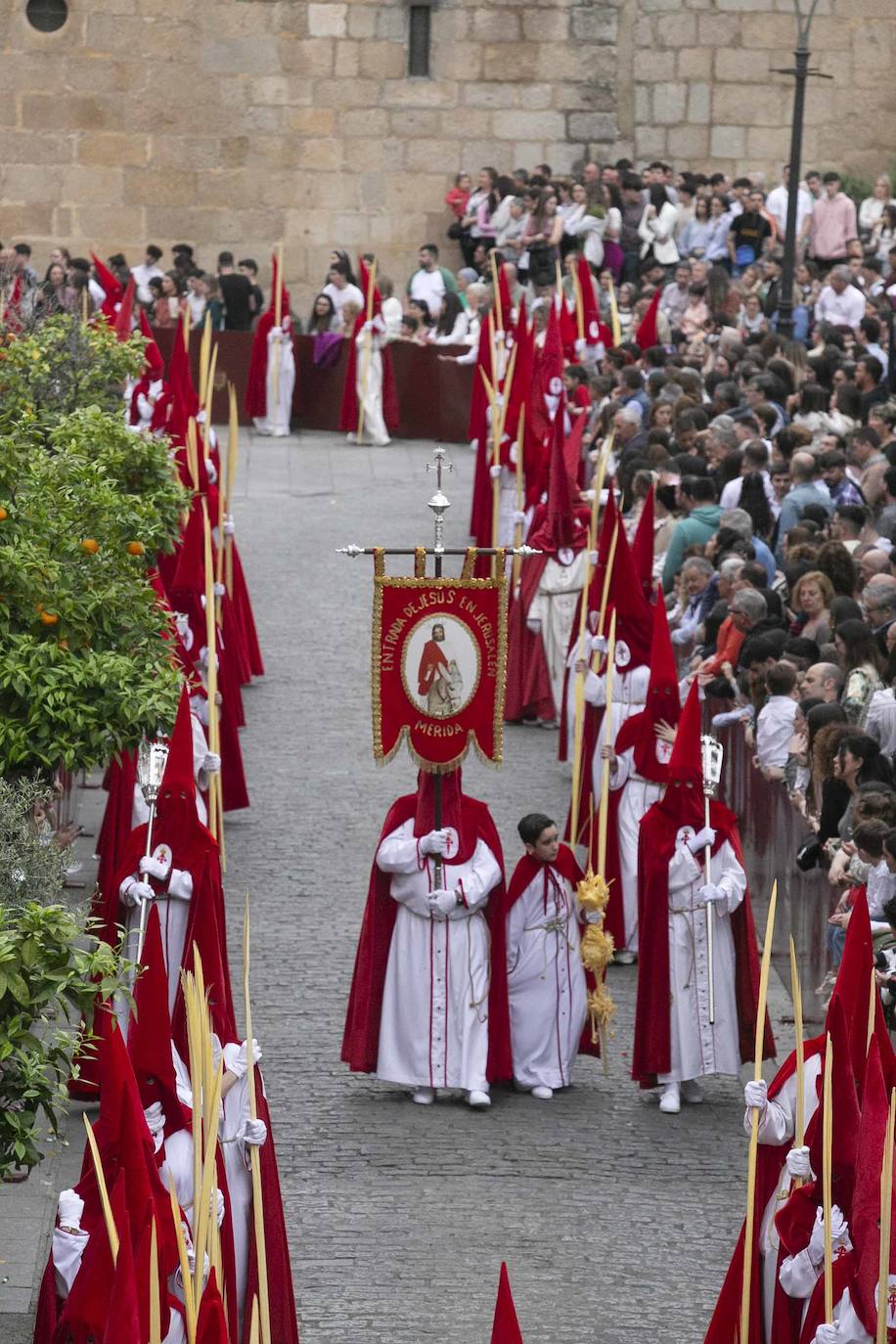Desde la Concatedral ha salido la cofradía Infantil con su paso Entrada de Jesús en Jerusalén.