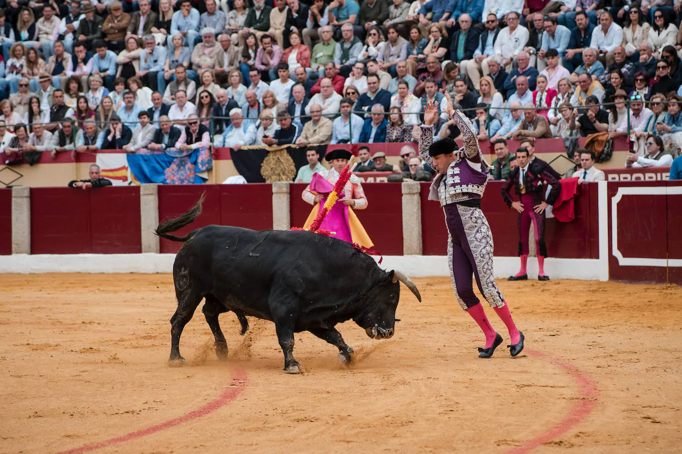 Las mejores imágenes de la corrida de Emilio de Justo, Talavante y Juan  Ortega en Almendralejo (I) | Hoy